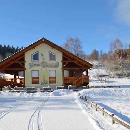 Le Chalet Du Bucheron Gérardmer Esterno foto
